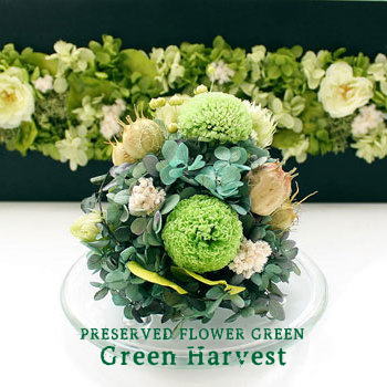 Green Harvest (GLASS DOME) ：グリーン ハーベスト（プリザーブドフラワーガラスドーム アレンジ【送料無料】