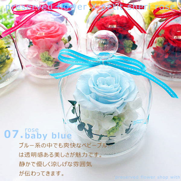 ROSE GALLERYプリザーブドフラワー ブルー ガラスドーム付き