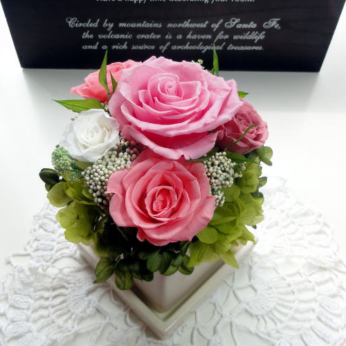 TIARA：ティアラ