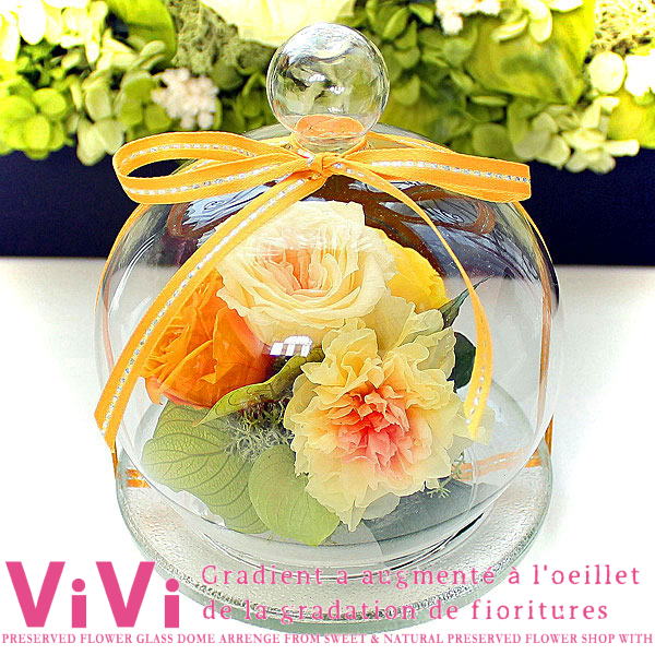 ViVi ： ヴィヴィ/グラデーションローズ＆フリルのカーネーション