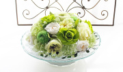 Celebrate Verde ：セレブレート ベルデ（プリザーブドフラワーガラスドーム アレンジ）【送料無料】