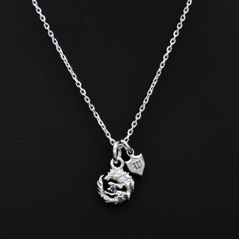 ラウンド カット ダイヤ チャム　ぺンダント　D047 S022 ラボグロウンダイヤモンド/ペンダントトップ/1.00ct