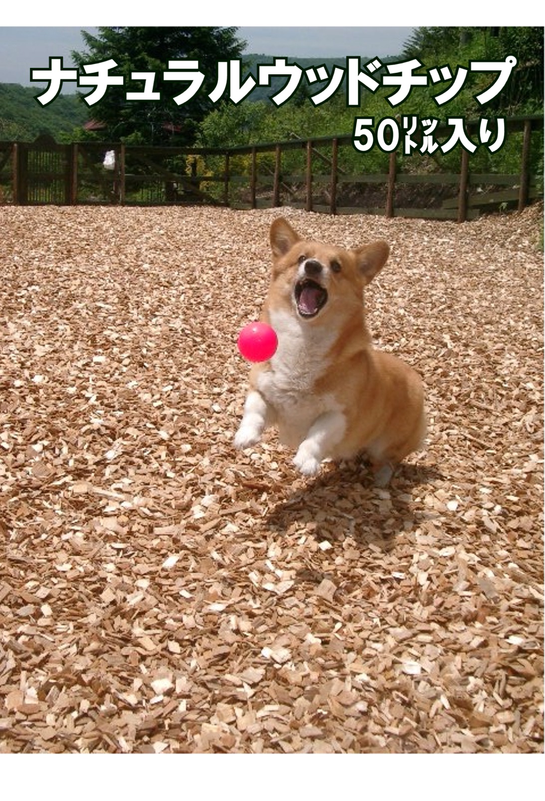 ナチュラルウッドチップ100リットル(50L入り X 2袋）、東京産・杉・さわら混合（送料無料・代引き手数料無料）