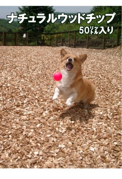 ナチュラルウッドチップ100リットル(50L入り X 2袋）、東京産・杉・さわら混合（送料無料・代引き手数料無料）