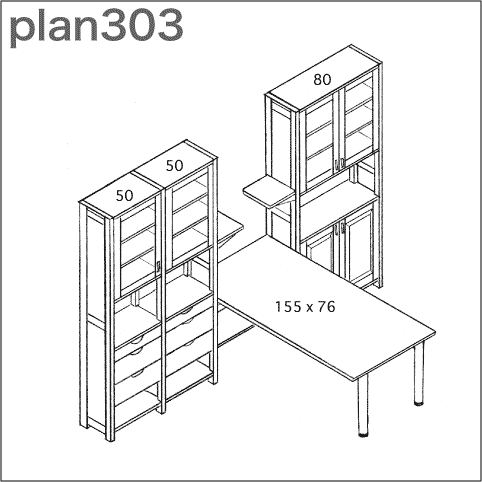 plan303