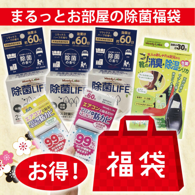 2021年福袋 お掃除の仕上げに お家の除菌セット 6点入り 掃除 除菌 消臭効果 防汚 家事ラク商品 部屋 エアコン 下駄箱 靴用品 ウッディラボ公式オンラインショップ