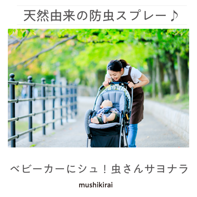 家中どこでも虫キライスプレー 玄関 ベランダ ゴミ箱 キッチンの虫よけ 虫対策 防虫スプレー ウッディラボ公式オンラインショップ