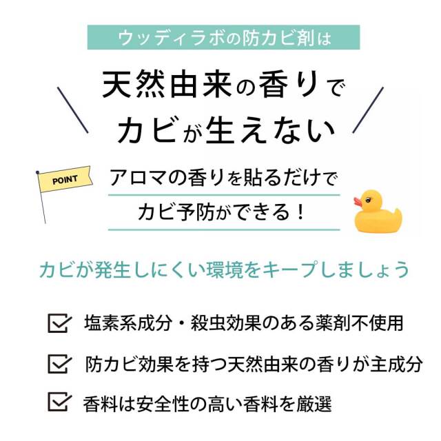 福袋,おふろピカピカセットPRO,おふろの防カビプレミアム,お風呂の衛生当番
