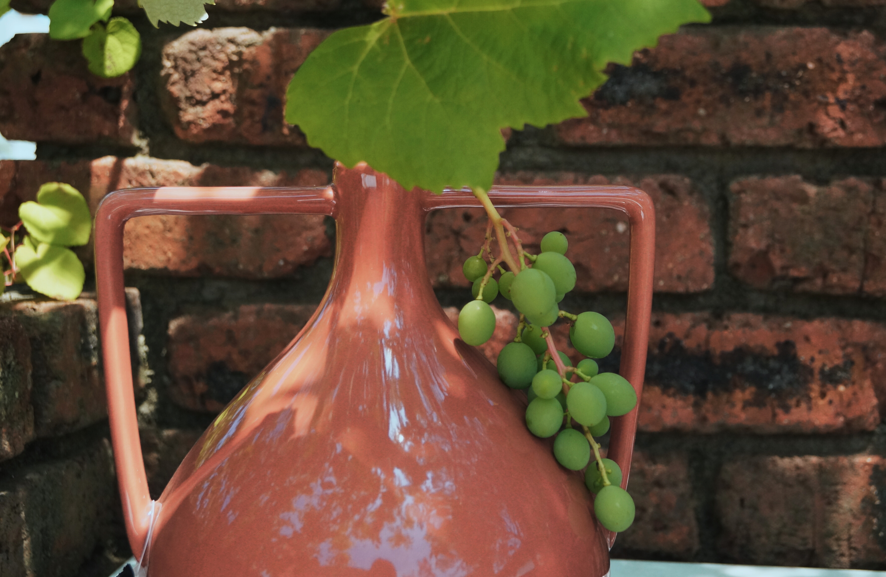 ベースブジーナ23(レッド)