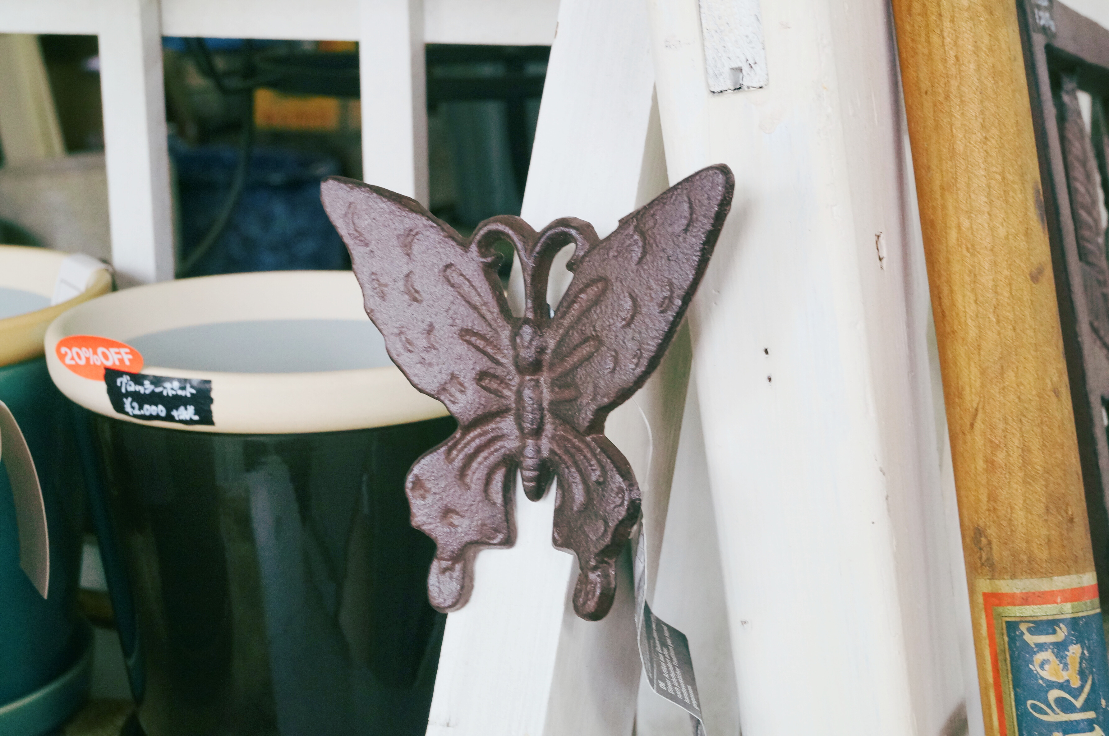 ウォールデコインセクツ(4set)