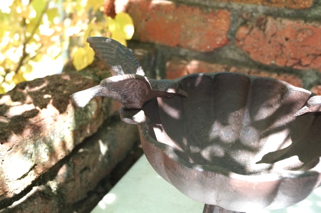 bird3.jpg