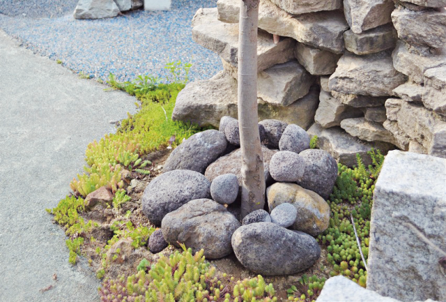 チャンディーロック【20kg/ネット入り】・オリジナル