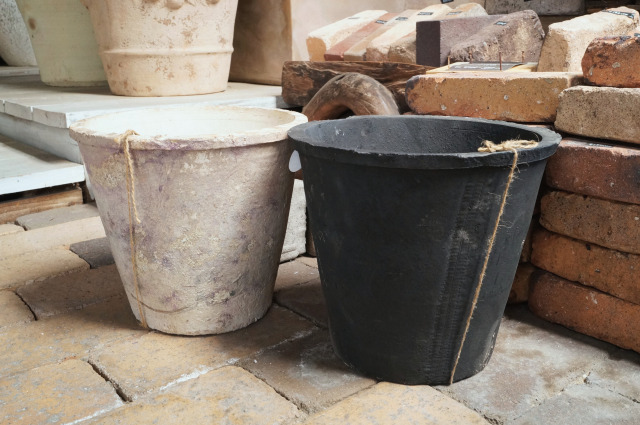 【中型】〈レア!〉モスポット アザレア L8号