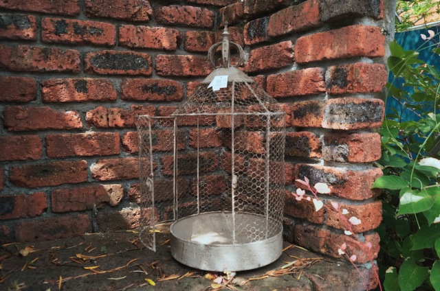 プランツホルダー