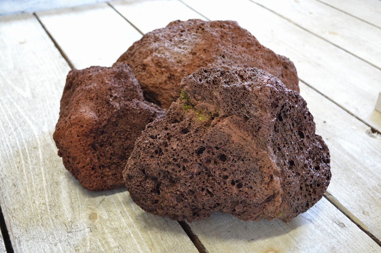 スコリアロック（赤溶岩）大【5個】