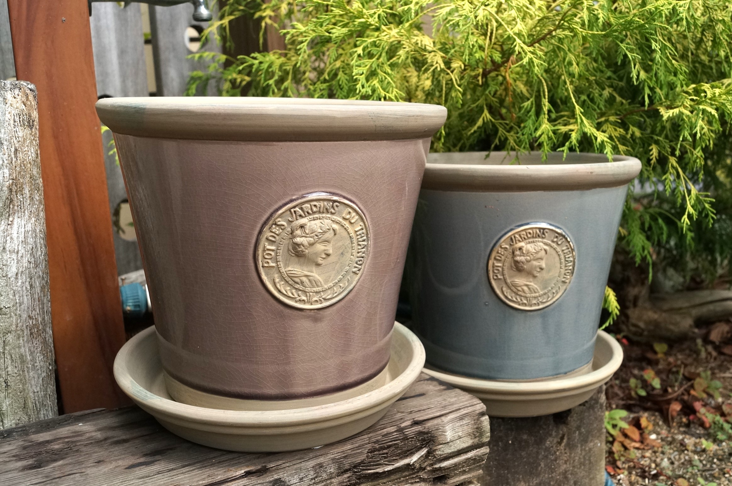 テムズポット【7号(23.5cm)】