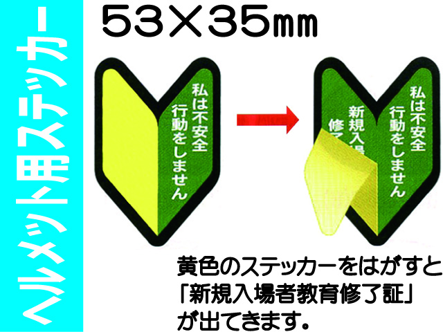 ヘルメット用ステッカー ﾍﾙｽﾃ230