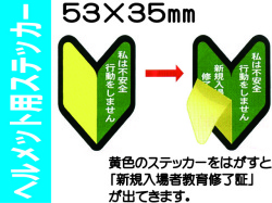 ヘルメット用ステッカー ﾍﾙｽﾃ230
