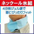 ネッククール氷結