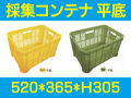 採集コンテナ　平底