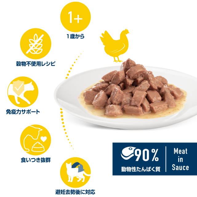 平飼いチキン　パウチ　成猫・避妊去勢