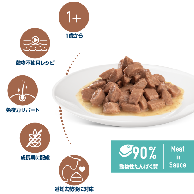 スキン＆コート パウチ　成猫・皮膚被毛ケア