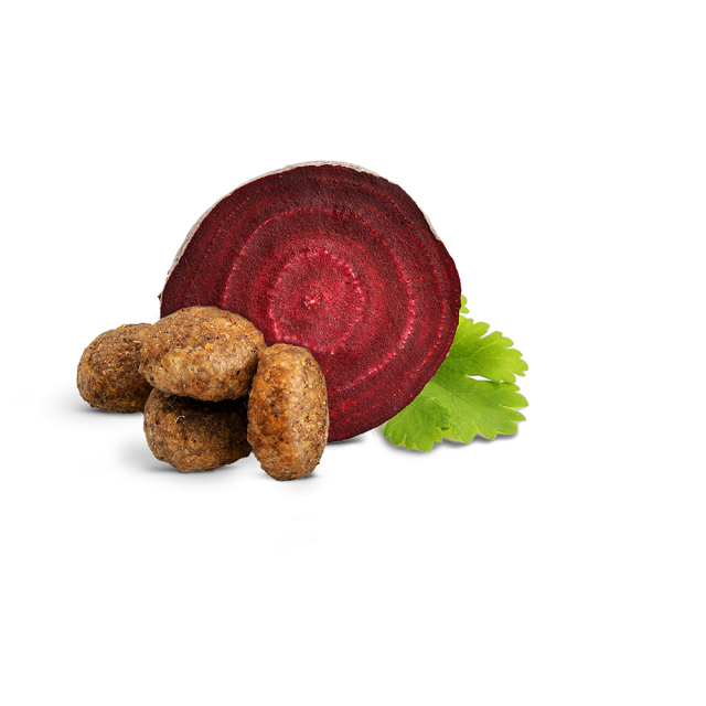 【4kg×2袋】シニア アトランティック サーモン HAPPY CAT シニア アトランティック サーモン - ワールドプレミアム