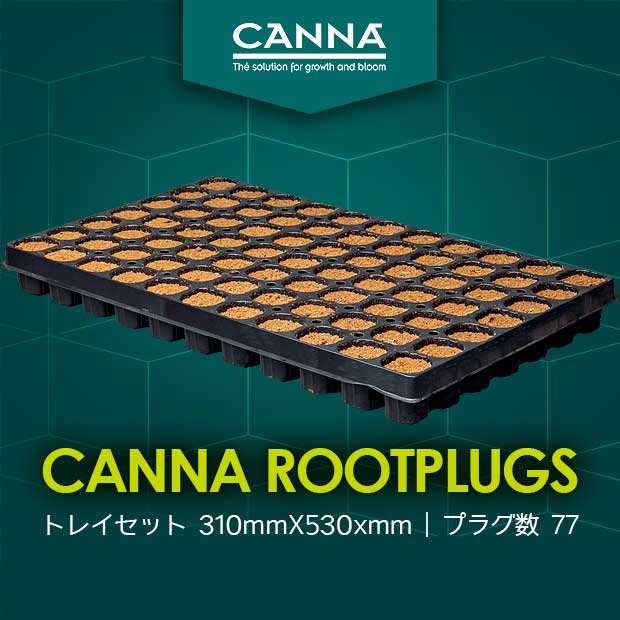 CANNA Rootplugs ルートプラグトレイセット (77入り)