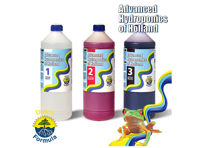 Dutch Formula（ダッチフォーミュラ）1L SET