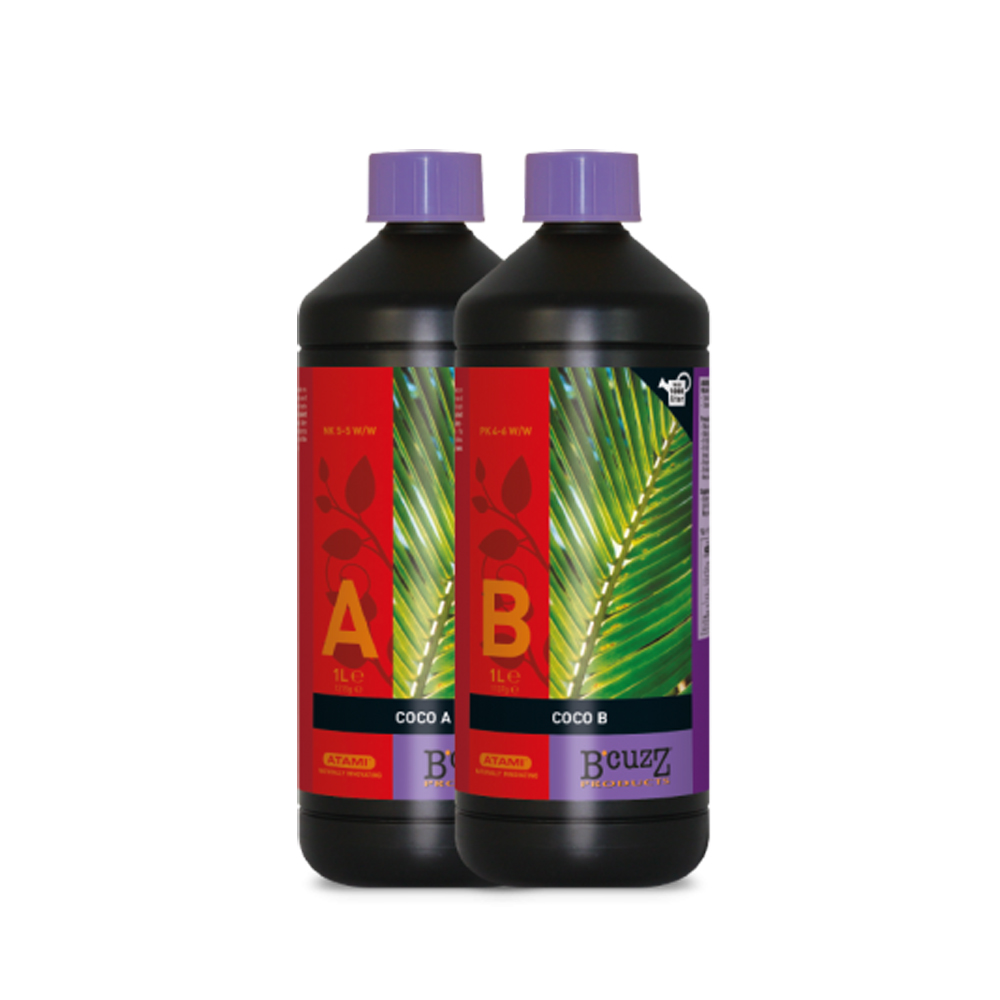 B'CUZZ COCO A&B(ココ A&B)