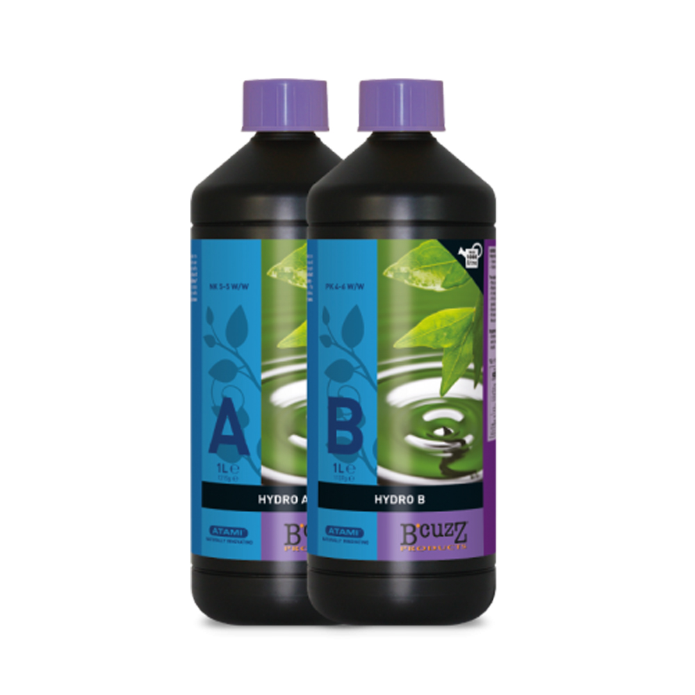 B'CUZZ HYDRO A&B(ハイドロ A&B)