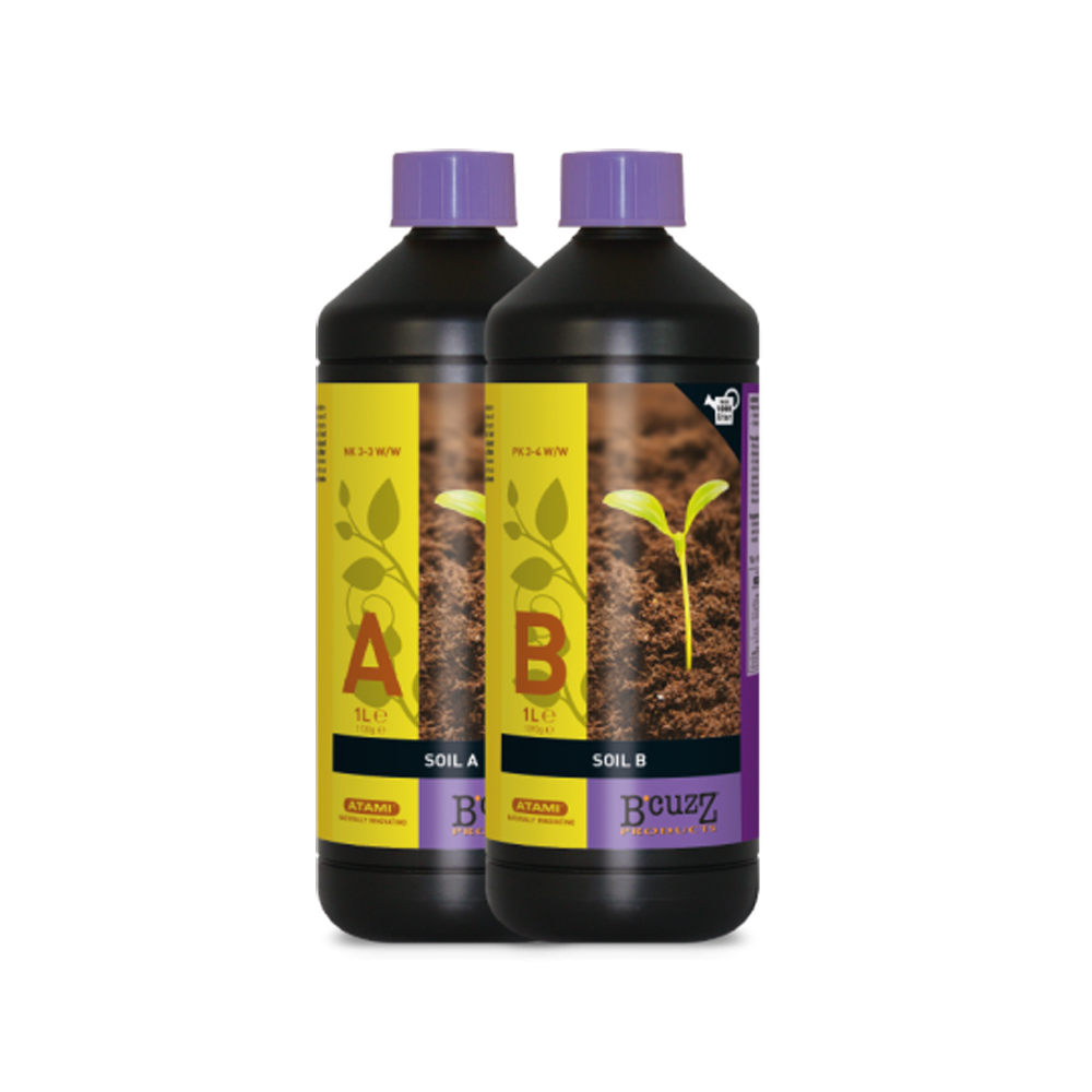 B'CUZZ SOIL A&B(ソイル A&B)