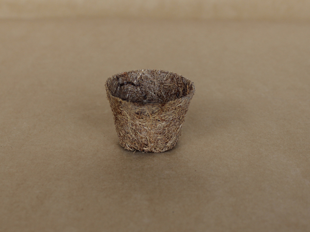 Coco Pot（ココポット）