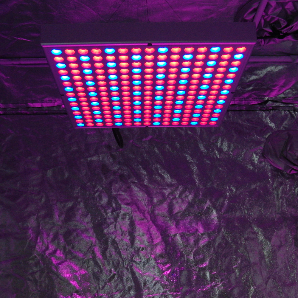 MIX（混合） Small-β