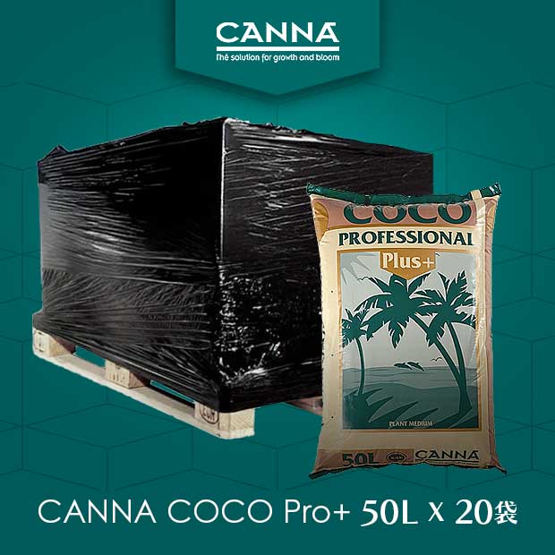 Canna COCO （ココ）50L  x 20袋