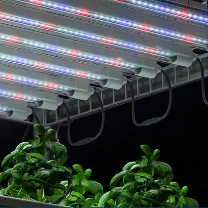 クローン＆初期成長期用 高輝度栽培用LED 2本パック 4ft