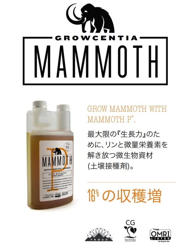 Mammoth P（マンモスP）