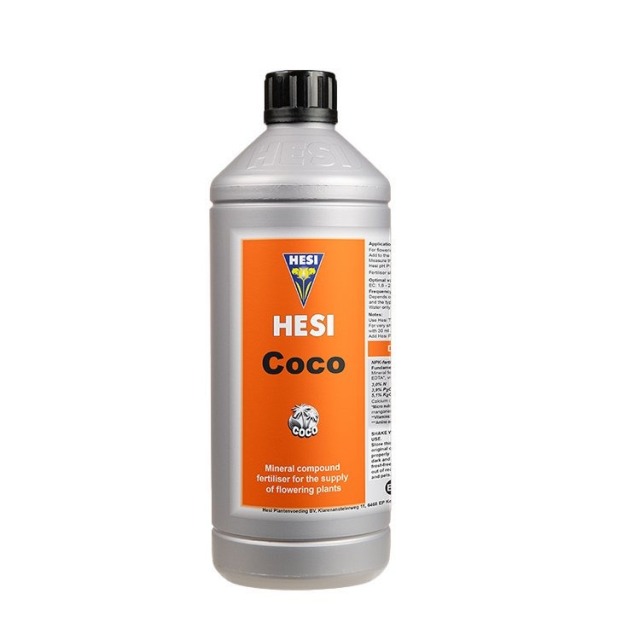 Hesi Coco（ココ）