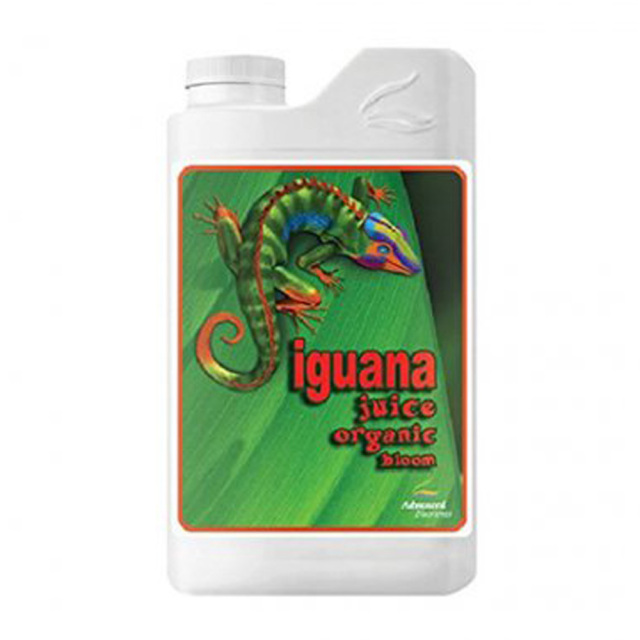 Iguana juice bloom organic  (イグアナ ジュース ブルーム オーガニック)