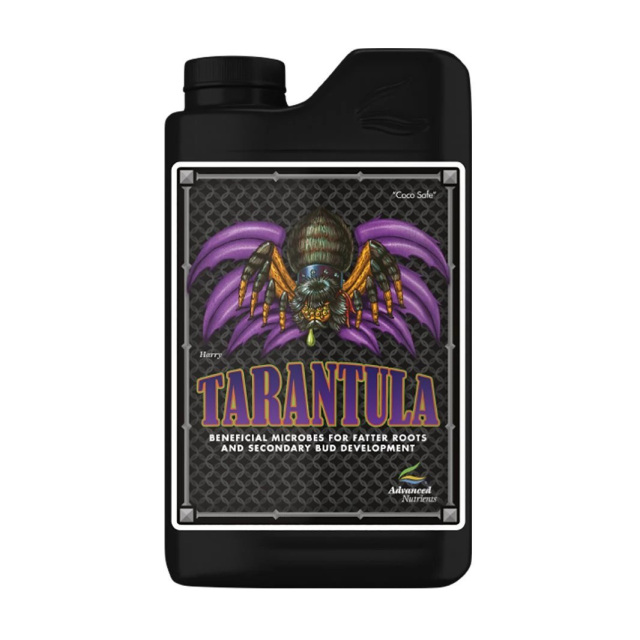 Tarantula(タランチュラ)