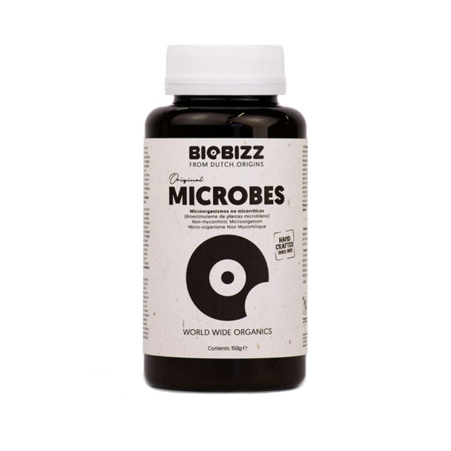 MICROBES（マイクロブス）
