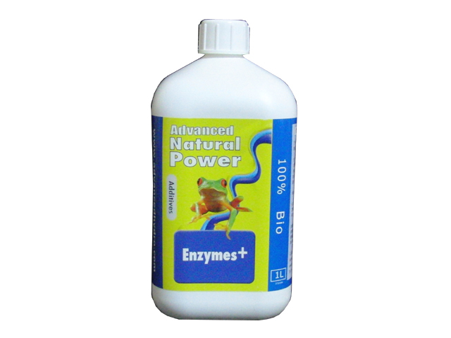 Enzymes+（エンジメスプラス）