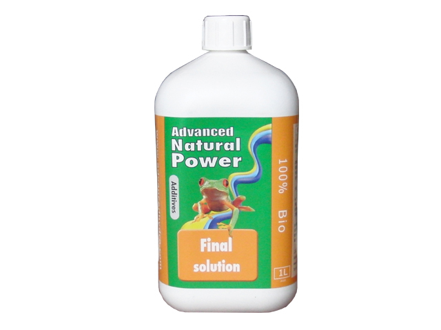 Final solution（ファイナルソリューション）1L