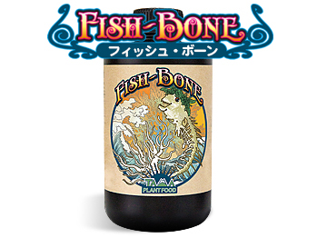 Fish Bone（フィッシュボーン）