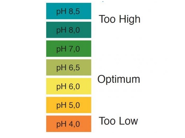 pH Test Kit(phテストキット)