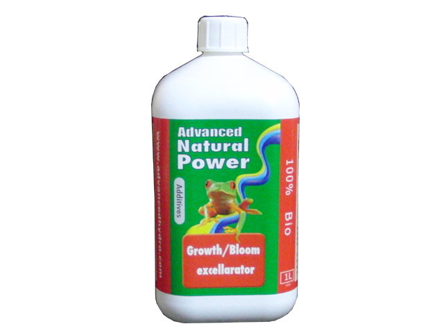 Growth/Bloom excellarator（グロウ/ブルーム エクセラレイター）