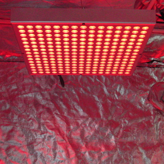RED Small-β