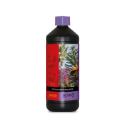 B'CUZZ BLOOM COCO STIMULATOR(ブルーム ココ スティミュレイター)