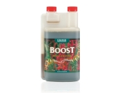 Boost（ブースト）