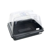 Propagator box（プロパゲーターボックス）